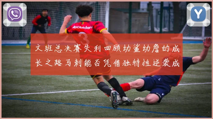 文班总决赛失利回顾幼鲨幼詹的成长之路马刺能否凭借独特性逆袭成功