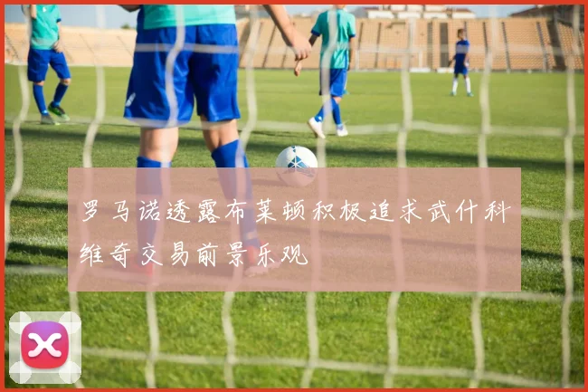 罗马诺透露布莱顿积极追求武什科维奇交易前景乐观