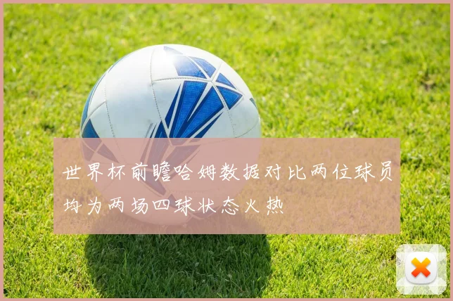 世界杯前瞻哈姆数据对比两位球员均为两场四球状态火热