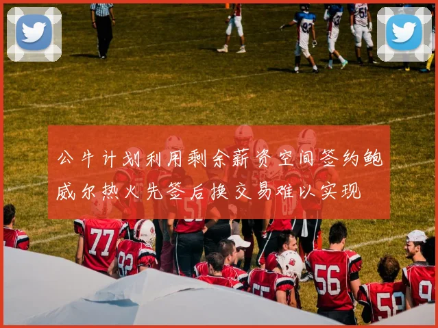 公牛计划利用剩余薪资空间签约鲍威尔热火先签后换交易难以实现